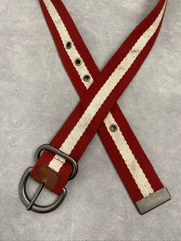 292513 Storm belt, foto 2