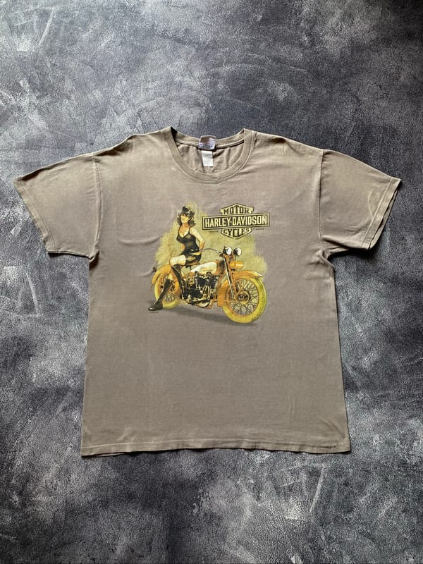 Vintage Harley Davidson Indiana 2002, foto 4