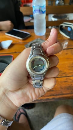 Fossil big tic rainbow