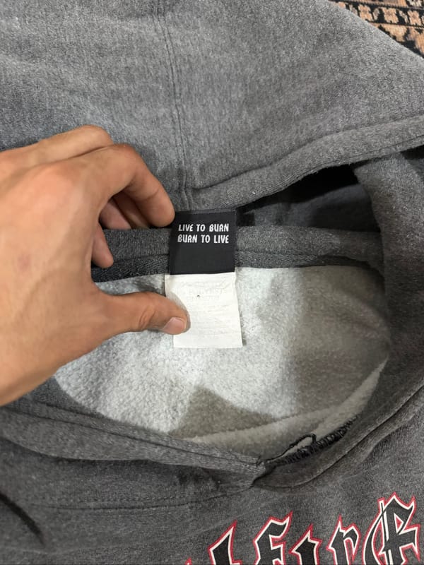 VINTAGE SPITFIRE HOODIE SPELLOUT GREY, foto 5