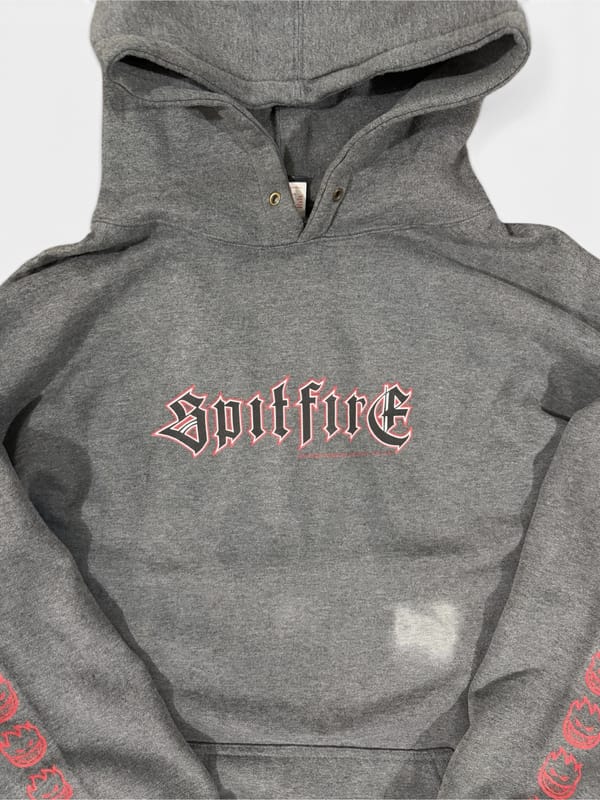 VINTAGE SPITFIRE HOODIE SPELLOUT GREY, foto 3