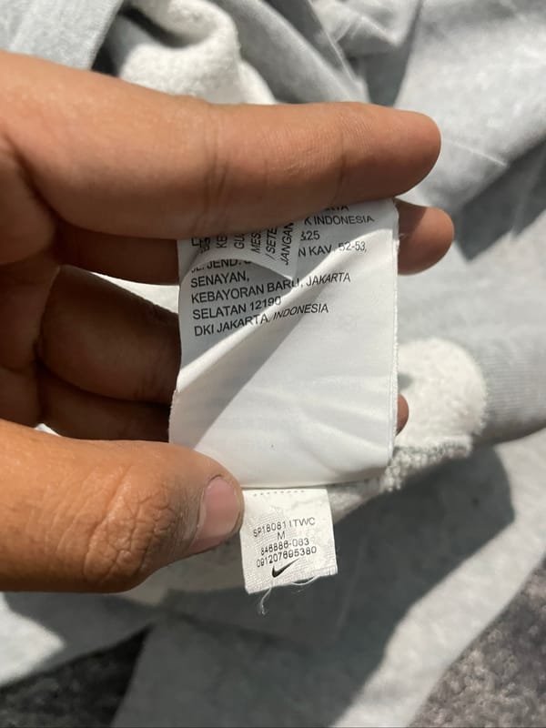 Hodie Nike sb, foto 5
