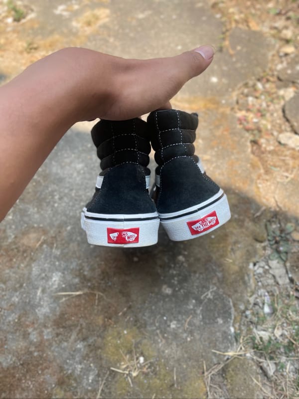 Vans sk8 bw, foto 3