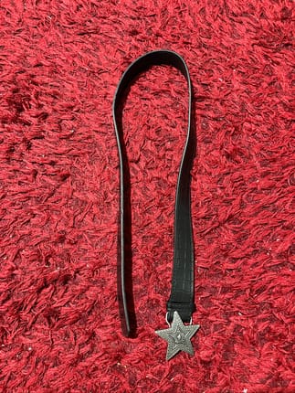 y2k startreck belt