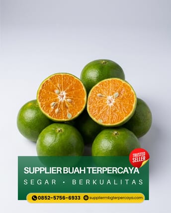 0852-5756-6933, Supplier Jeruk Sunkist di Lawang