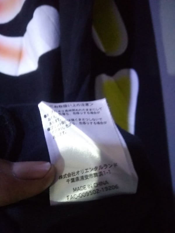 LONGSLEEVE DISNEY RESORT, foto 4