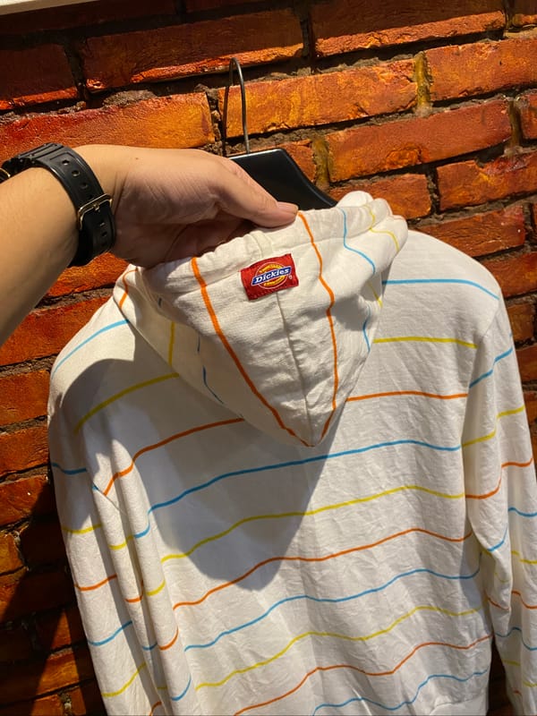 Dickies ziphoodie, foto 7