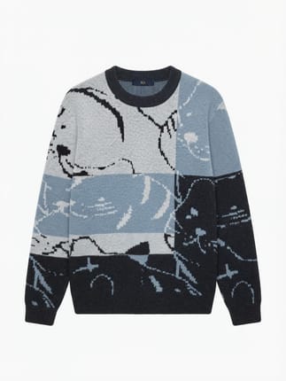motif cat
