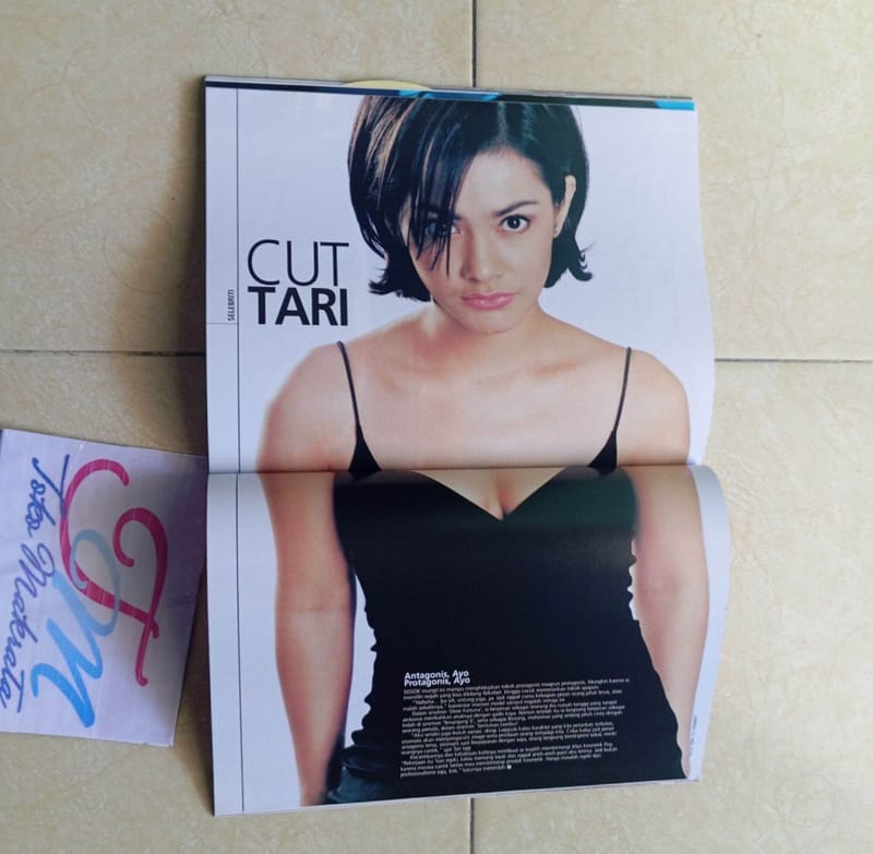 Majalah popular cover ALLANYS, foto 6