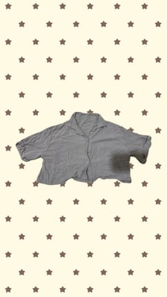 crop shirt linen