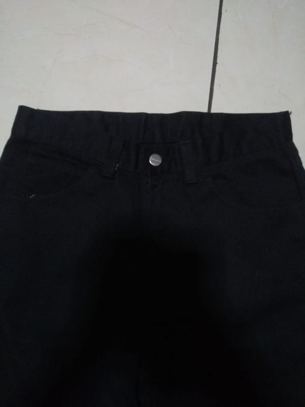 LONG PANTS CARHARTT, foto 2