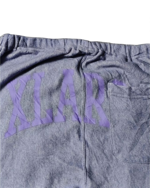 Xlarge x Champion Reverse Weave Jogger Pants, foto 2