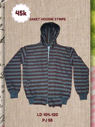 Jaket hoodie stripe