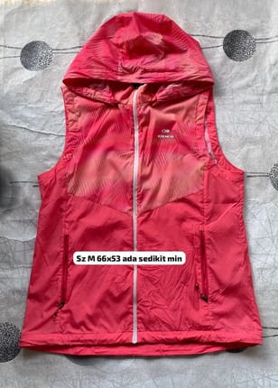 Vest eider