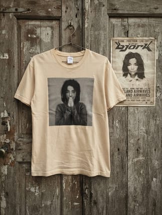 Kaos singer Bjork