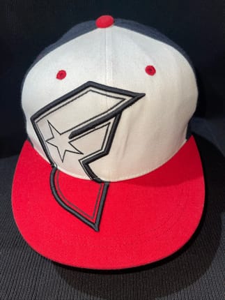 Snapback Cap Famous Stars & Starps