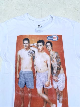 Kaos Band BLINK182 Photo