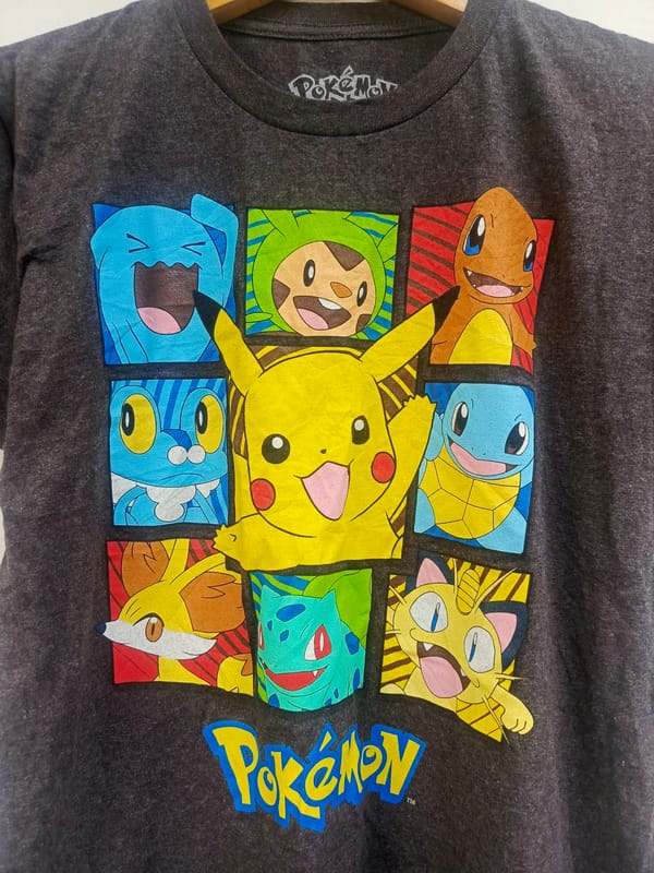 Kaos pokemon, foto 2