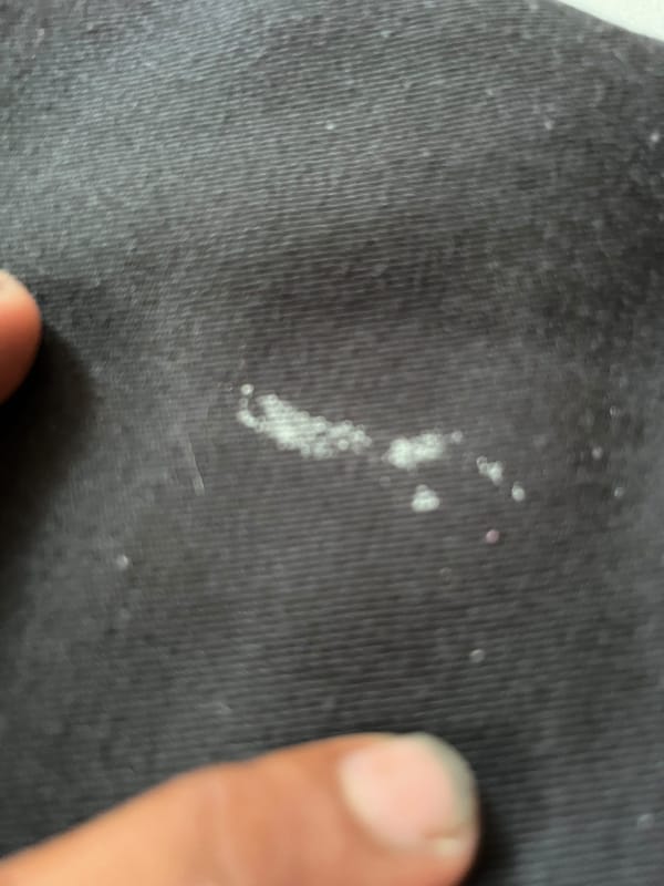 DICKIES WORK PANT, foto 6