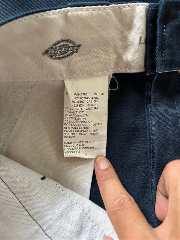 Short Pants dickies dark navy, foto 4