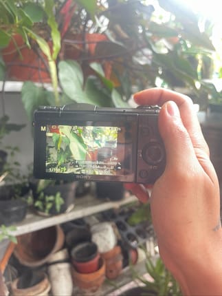Kamera sony a5000 (mirrorless)