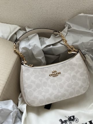 Coach Teri Glacier White Shoulder Bag