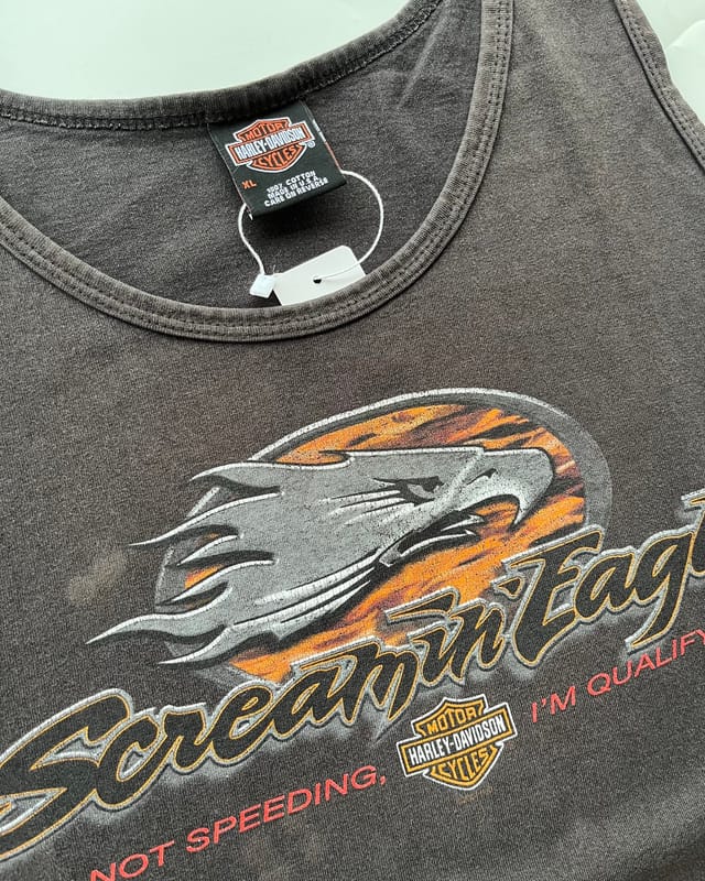 2004 HARLEY DAVIDSON Scream Eagle Vintage Tee, foto 8