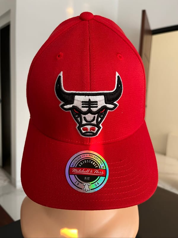 Mitchell & Ness NBA Team Ground 2.0 Stretch Snapback Hat, foto 2