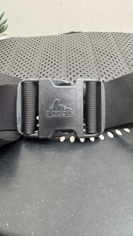 Gregory Waistbag, foto 5
