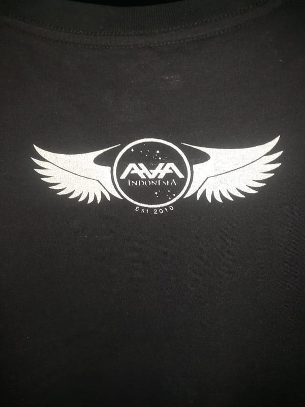 Angel and Airwaves, foto 2