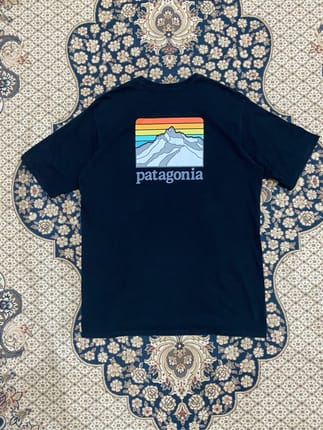 Patagonia Tshirt