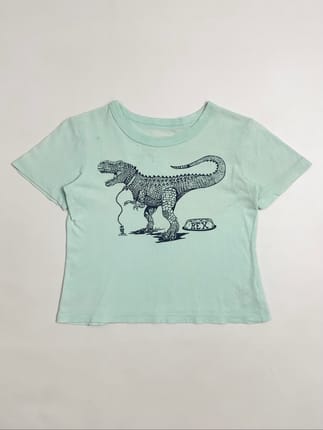 Baby Tee OshKosh B'gosh Mint Green T-Rex Dinosaur Graphic