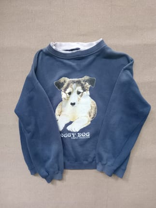 sweater doggy