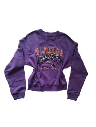 H&M Sweatshirt Alaska