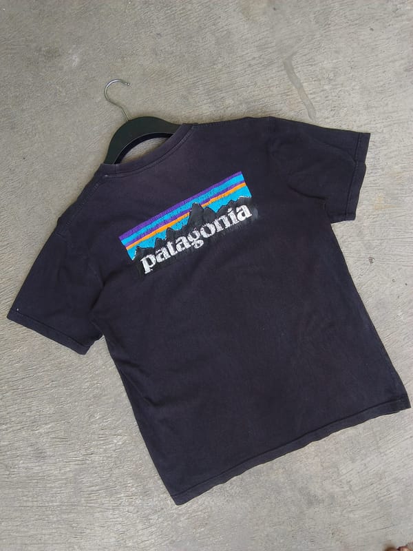 T-shirt Patagonia, foto 4