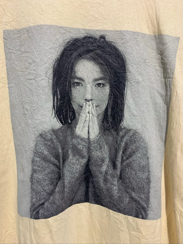 T-Shirt Björk, foto 4