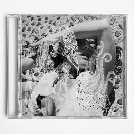 CD Bjork - Vespertine (japan press)