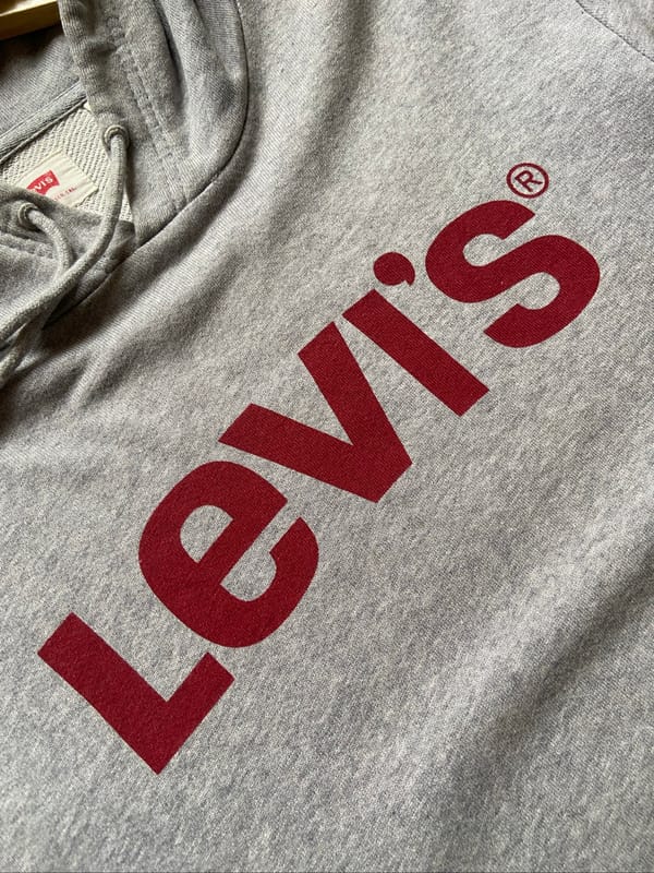 Levi’s Big Logo Grey Hoodie, foto 2