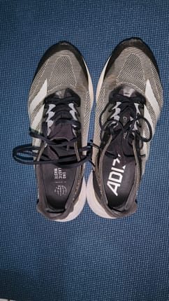 Adizero boston 12