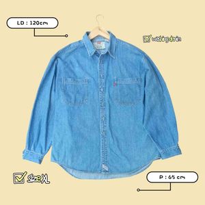 Levi's Casual Casual shirt Pria blue