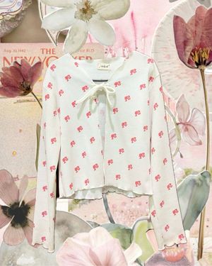 Fairy Coquette Cardigan Wanita multicolor
