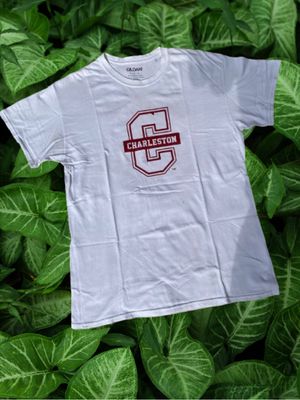 Gildan Streetwear T-shirt Pria burgundy white