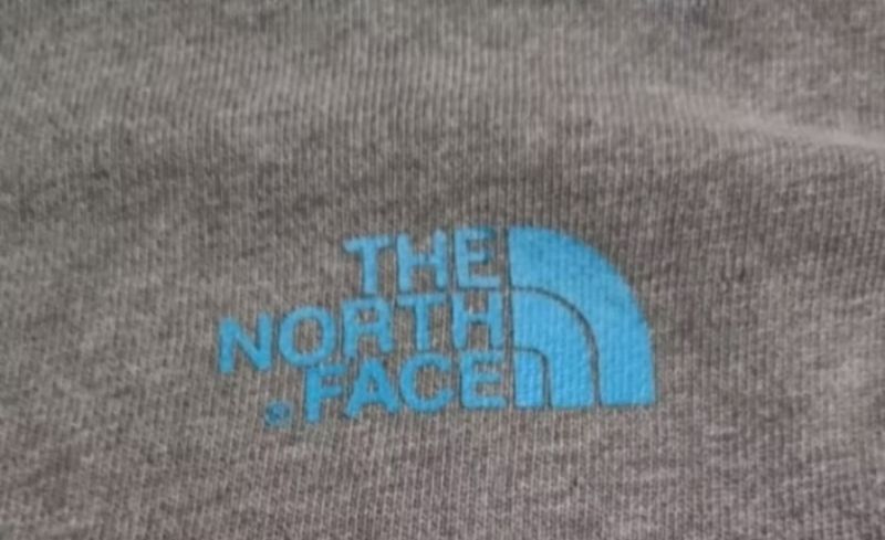 The North Face Casual Sweater Pria gray, foto 4