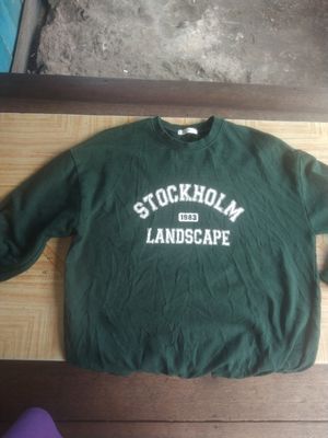 Futurist Casual Sweater Pria green gray