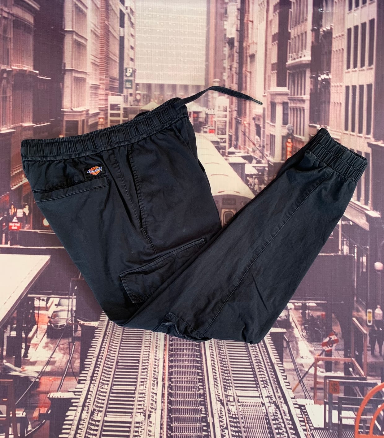 Dickies Luxury Casual Casual pants Pria black