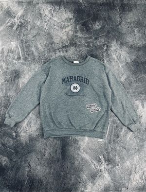 Streetwear Sportswear Sweater Pria gray