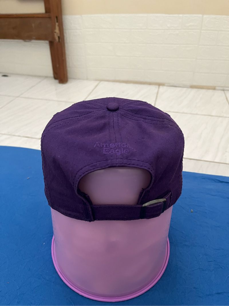 American Eagle Streetwear Hat Pria purple, foto 2