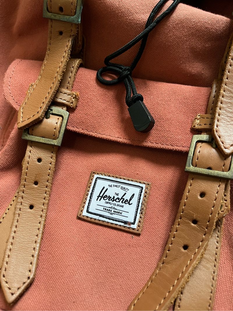 Herschel Minimalist Bag Pria multicolor, foto 2
