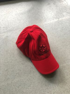 Vintage south pole cap flexfit