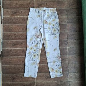 H&m pants